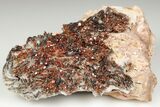 Ruby Red Vanadinite Crystals on Black/White Barite - Morocco #196347-2